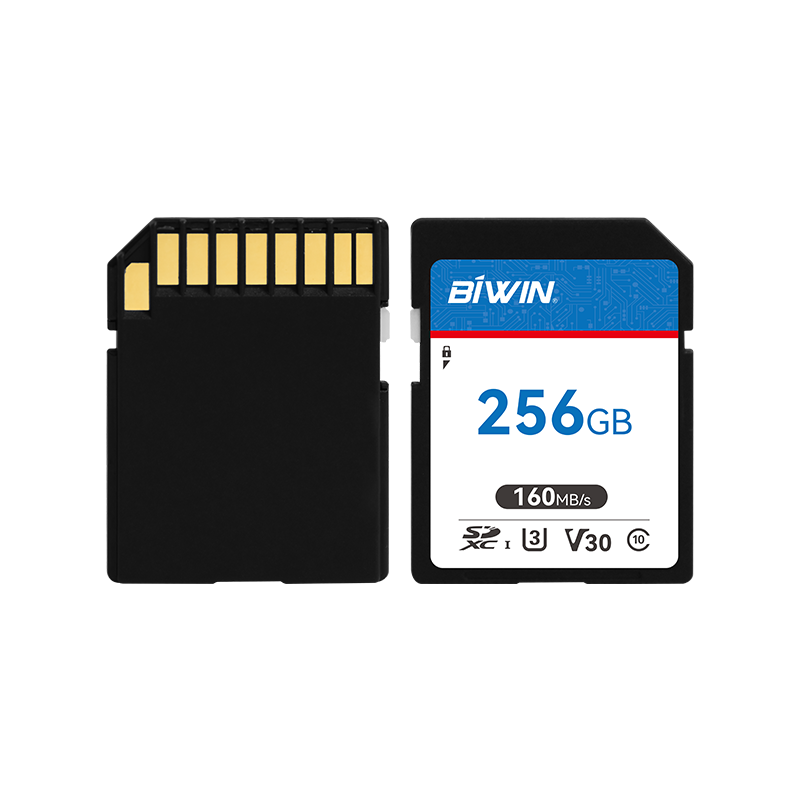 BIWIN SD Card（图1）