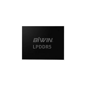 BIWIN EX500